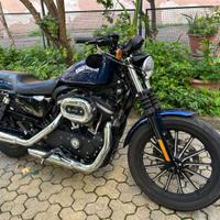 Harley Davidson 883 iron