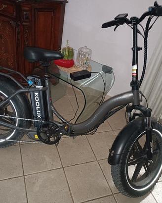 bici elettrica 