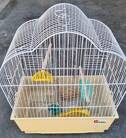 N. 2 Gabbie per Uccelli con accessori