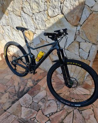 Bicicletta Mountain bike