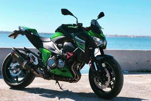 kawasaki Z 800 performance