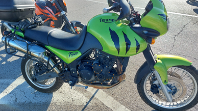 Triumph tiger