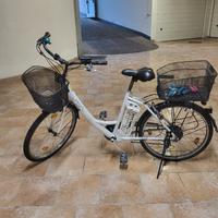 bicicletta elettrica