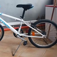 Bicicletta bimbo
