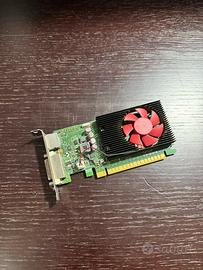 Hp Nvidia GT 730 Low Profile