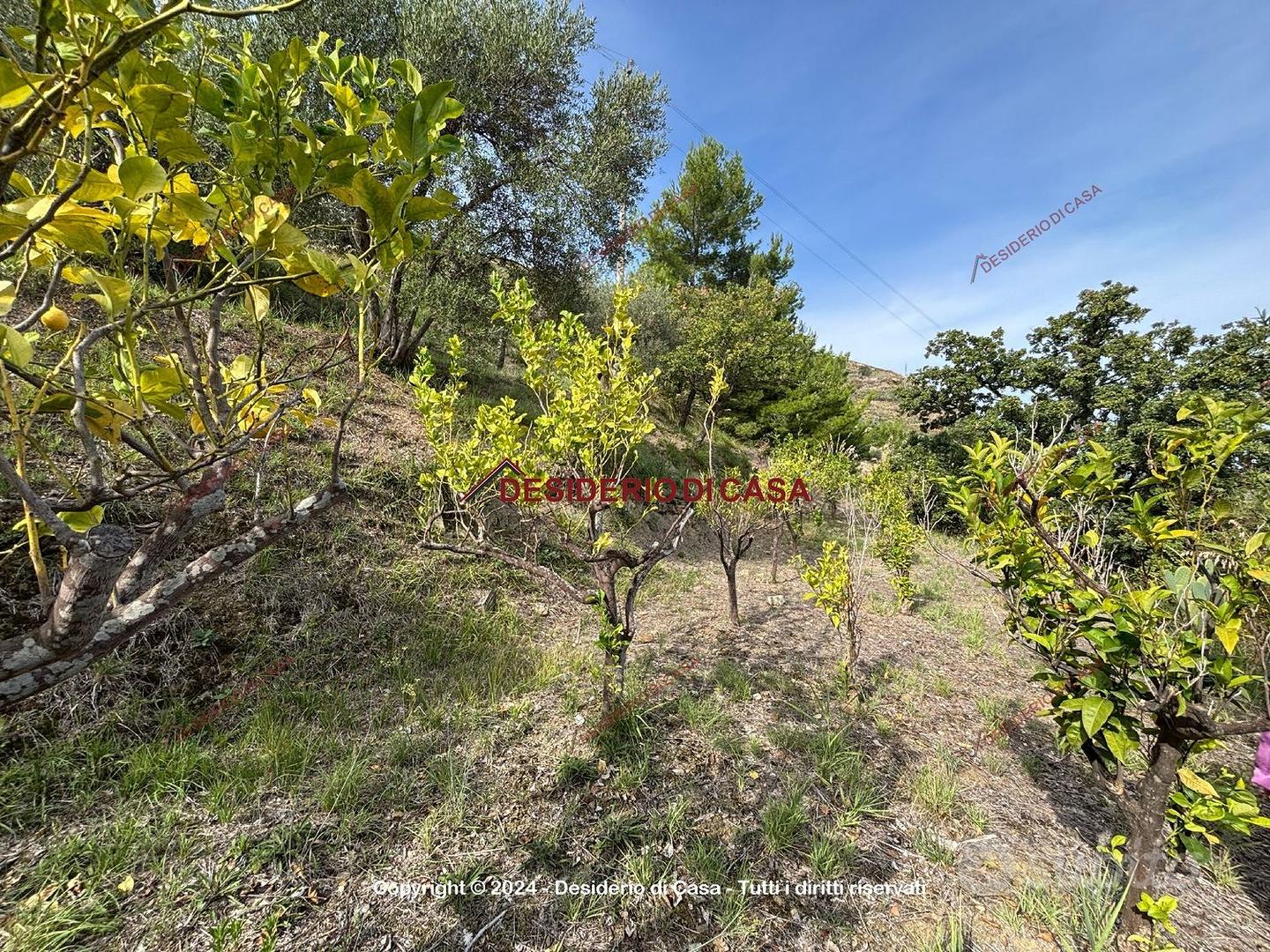 Terreno, Cefalù. - Vista 5