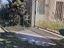 Immagine 6