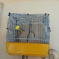 Gabbia uccellino /canarino