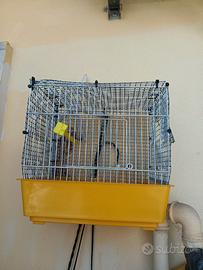 Gabbia uccellino /canarino