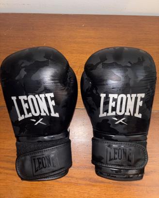 Guantoni da Pugilato Leone