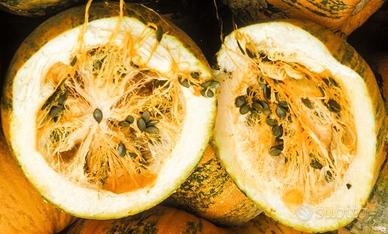 Semi per piantare zucca con semi senza scorza