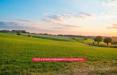 Rudere con terreno agricolo – Apice (Benevento)