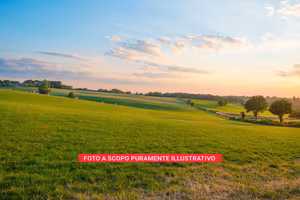 Rudere con terreno agricolo – Apice (Benevento)