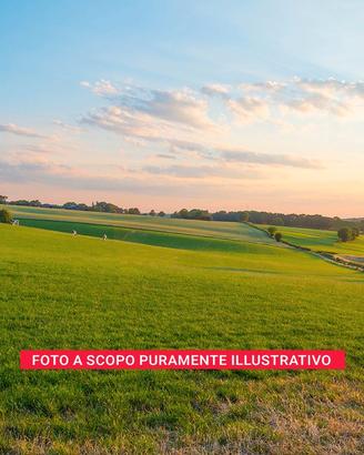 Rudere con terreno agricolo – Apice (Benevento)