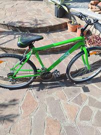 Bicicletta Mountain Bike nuova mai usata
