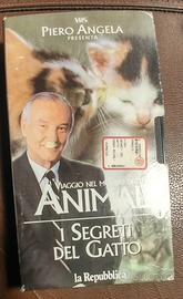 Videocassetta I segreti del gatto Piero Angela
