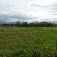 Eboli e Campagna-Terreni a partire da 1 euro al mq