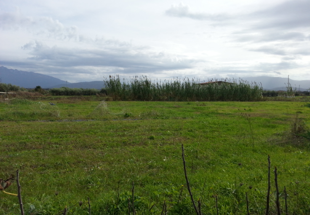 Eboli e Campagna-Terreni a partire da 1 euro al mq