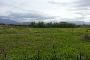 Eboli e Campagna-Terreni a partire da 1 euro al mq