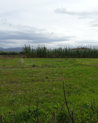 Eboli e Campagna-Terreni a partire da 1 euro al mq