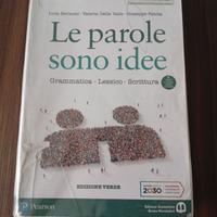 le parole sono idee ( grammatica ) 