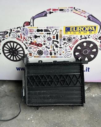 Convogliatore Radiatori Peugeot 208