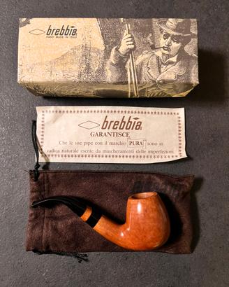 Pipa Brebbia