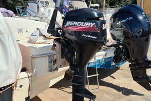 Motore Mercury 8cv 4Tempi Gambo Lungo