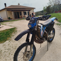 Tm 250 en