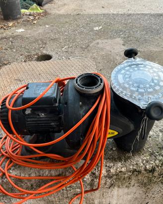 Pompa Professionale per Piscina DAB Europro 75 M