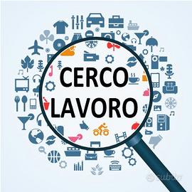 apprendista diplomato  19 anni