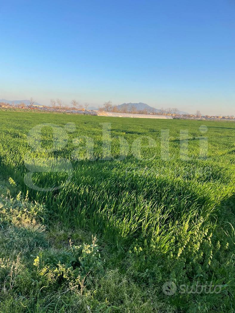 Terreno Agricolo Succivo [Cod. rif 3217854VCG] - Vista 5