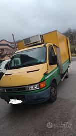 Iveco Daily frigo 35 quintali