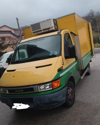 Iveco Daily frigo 35 quintali