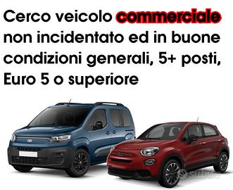 Cerco veicolo commerciale N1 autocarro