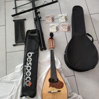 mandolino professionale come nuovo