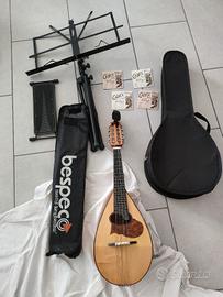 mandolino professionale come nuovo