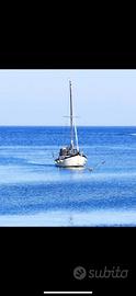 Gozzo-motorsailer nauticart Armonia NO PATENTE
