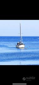 Gozzo-motorsailer nauticart Armonia NO PATENTE
