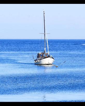 Gozzo-motorsailer nauticart Armonia NO PATENTE