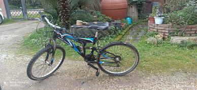 Klass biammortizzata