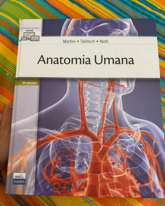 Atlante di anatomia umana