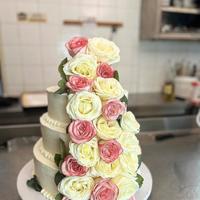 Pasticcere