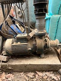 Elettropompa calpeda NM 50/20B/B