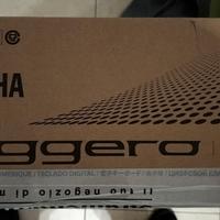 Yamaha Piaggero np-32b