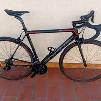 focus  izalco  mis.m 