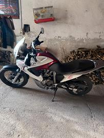 honda transalp 700xl