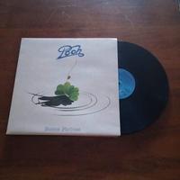 Vinile dei pooh