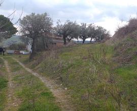 Terreno agricolo con immobili