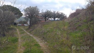 Terreno agricolo con immobili